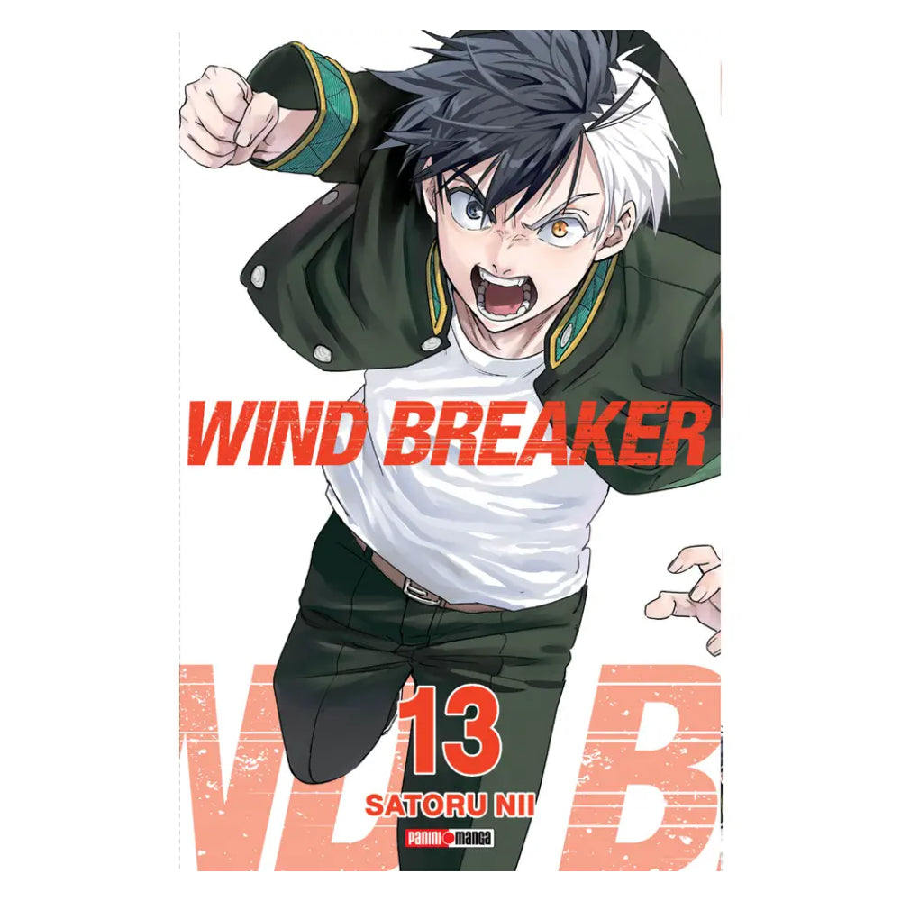 Wind Breaker N.13 QWBRE013 Panini_001