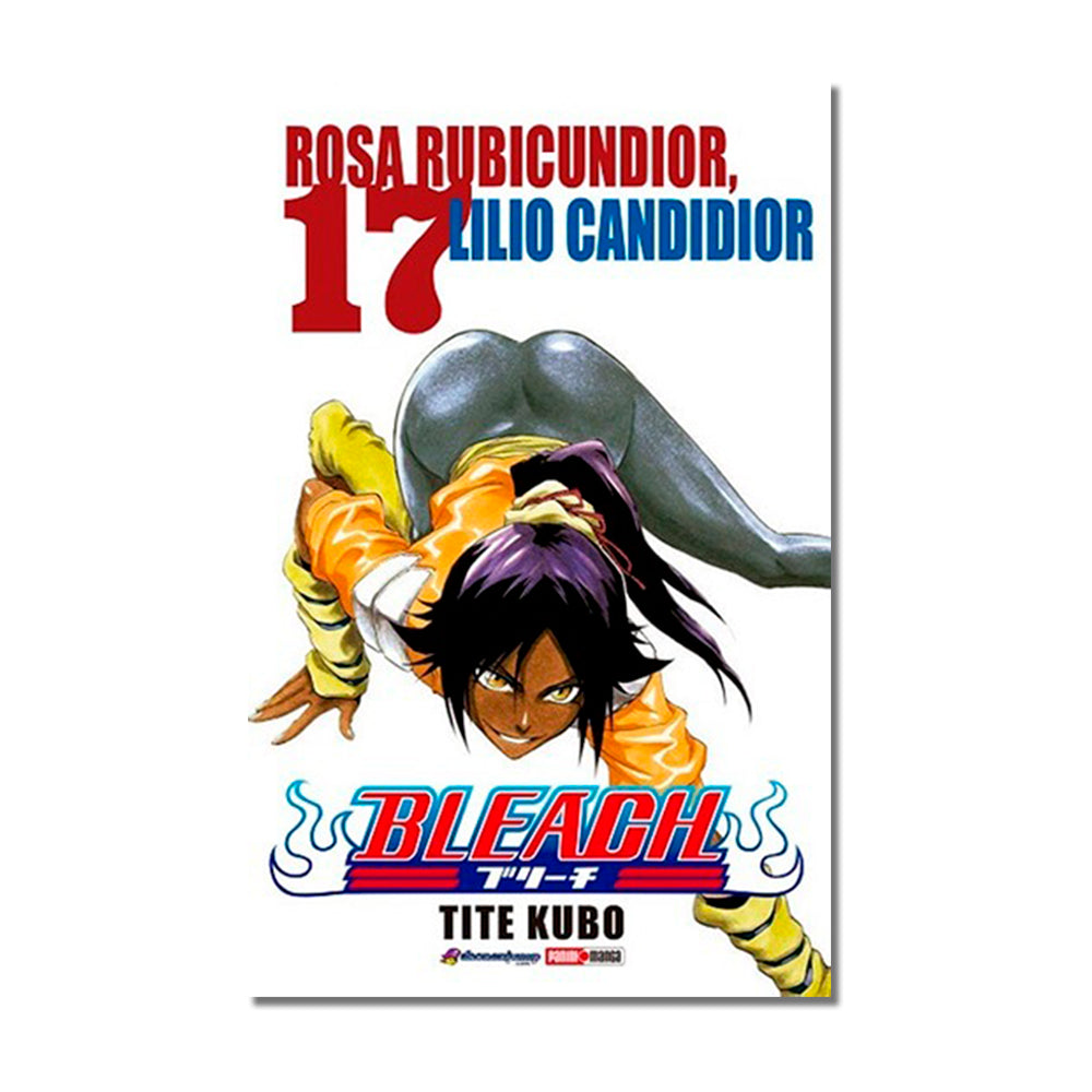Bleach N.17 QMBLE017 Panini_001