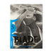 Blade Of The Immortal N..5 QBLAD005 Panini_001